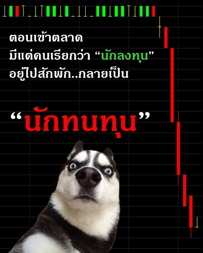 หกดเหกดเหกเ