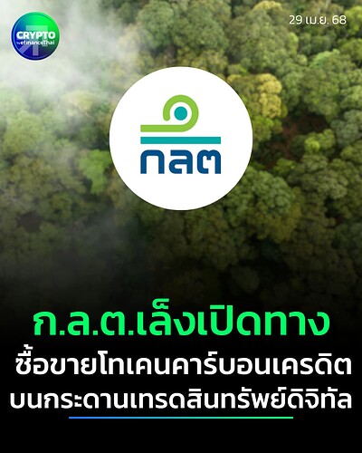 Party - NEWS (41)